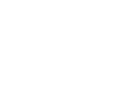 Electromures